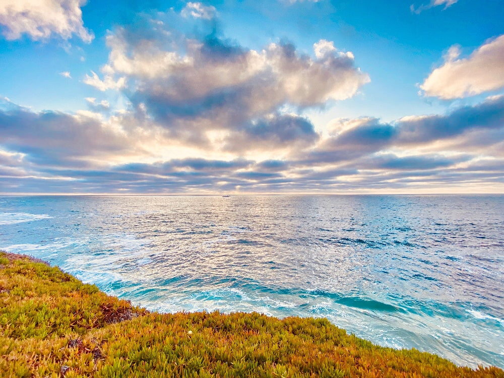 How to Build a Life Around the Things You Love