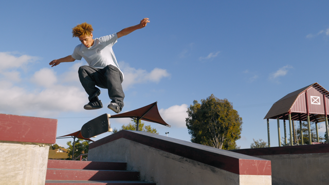 a young man doing a skateboard trick down a staircase with a tree in the background and blue sky 
